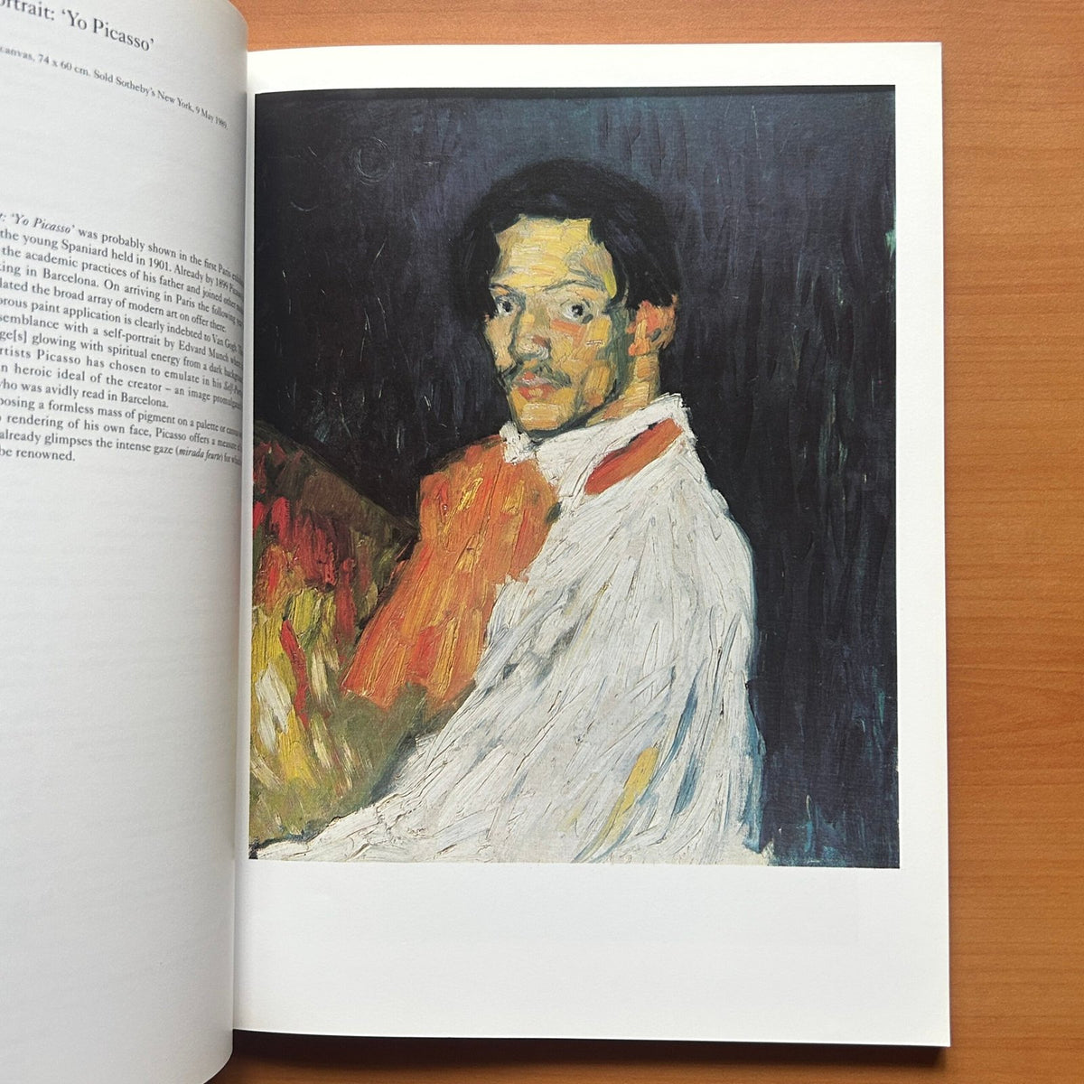 Picasso  - Roland Penrose image 14