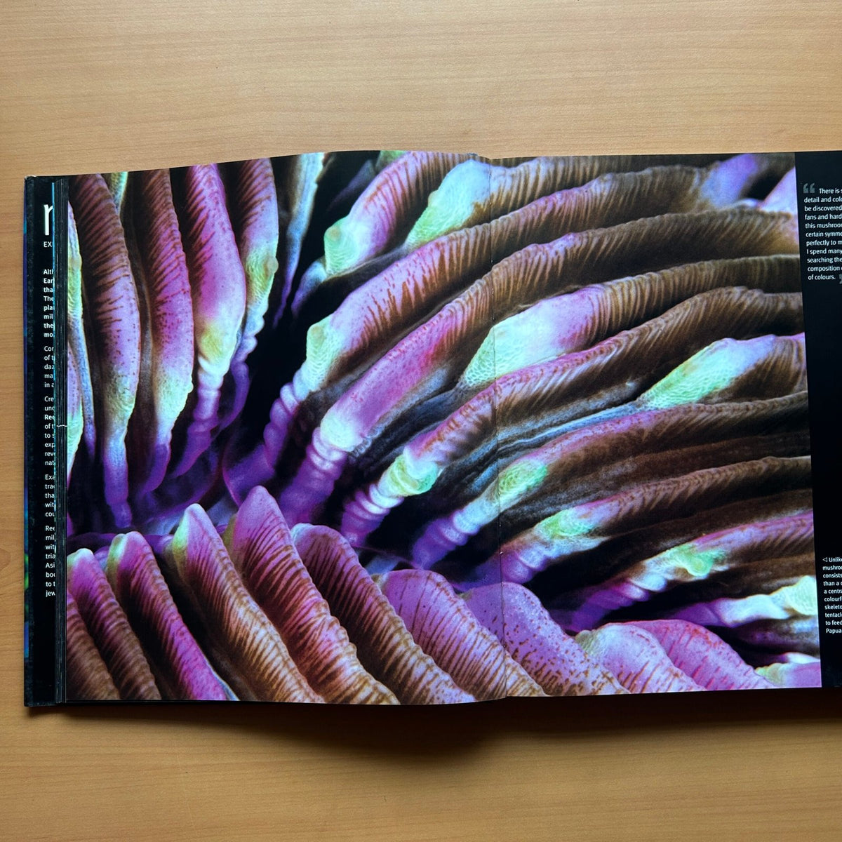 Reef: Exploring the Underwater World image 8