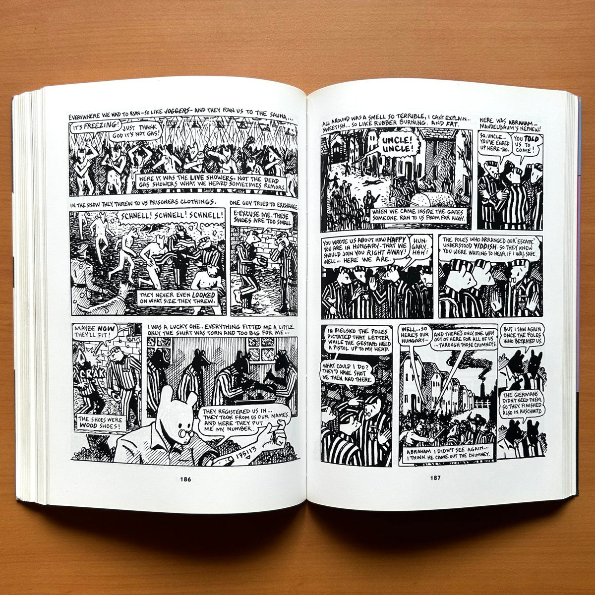 The Complete Maus  -  Art Spiegelman image 8