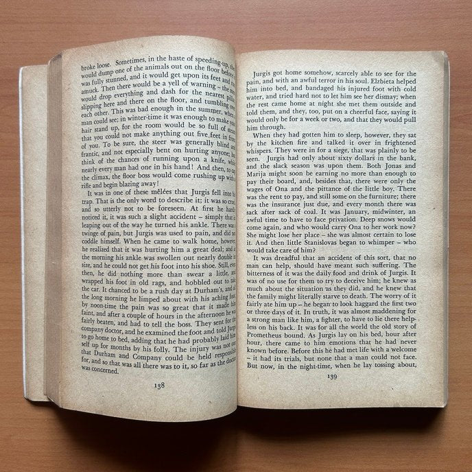 The Jungle  - Upton Sinclair image 4