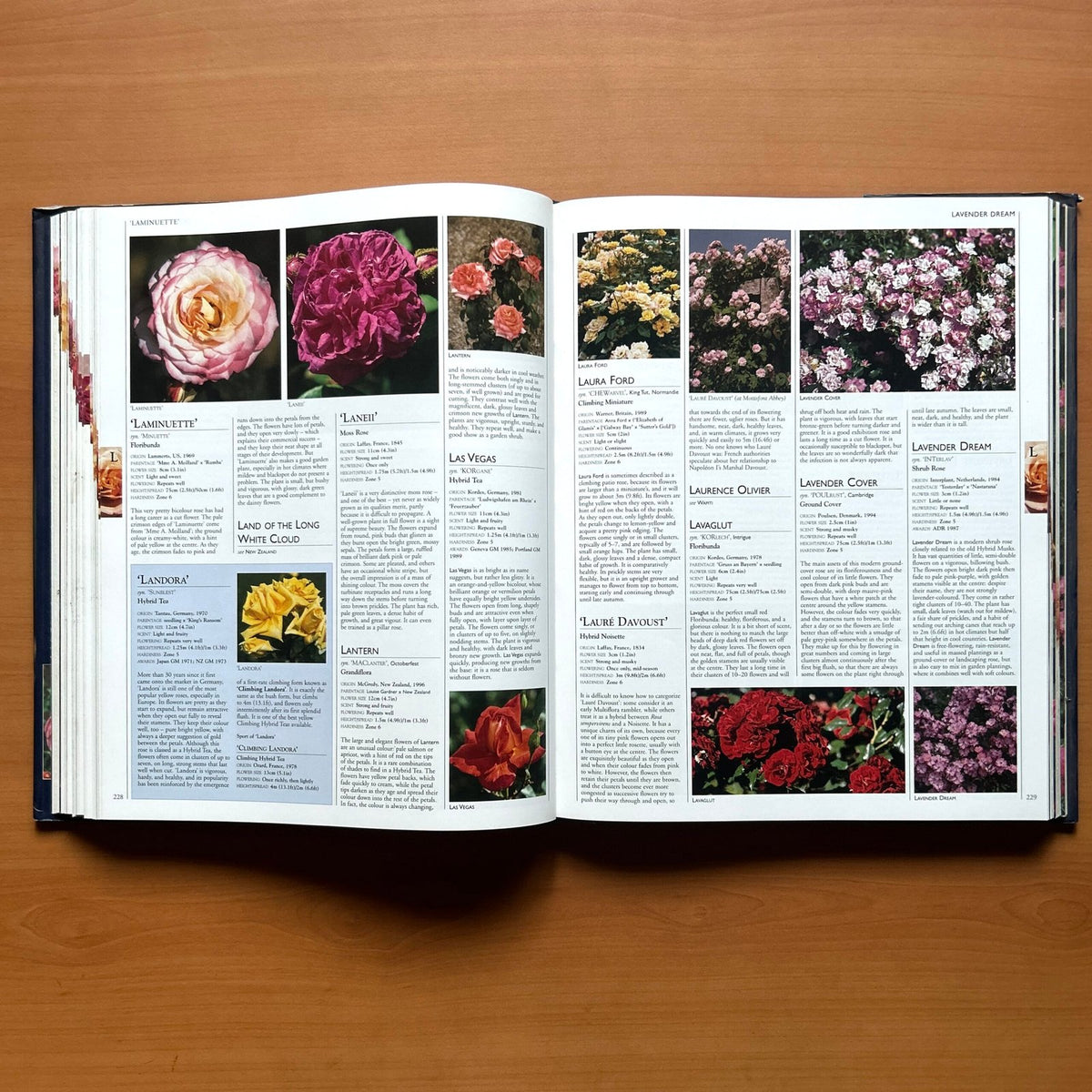 Encyclopedia of Roses  - Charles Quest-Ritson · Brigid Quest-Ritson image 10