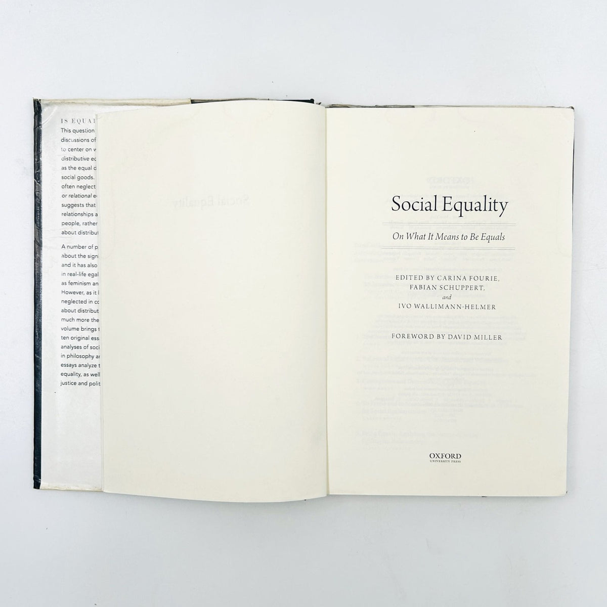 Social Equality – On What It Means to Be Equals image 3