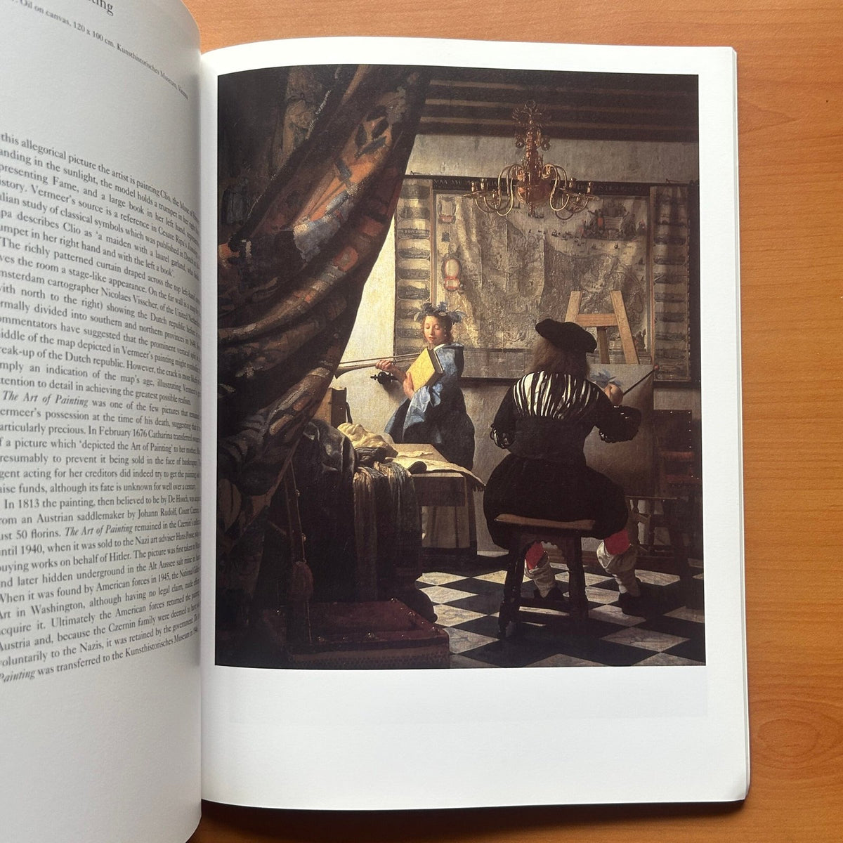 Vermeer  -  Martin Bailey image 7