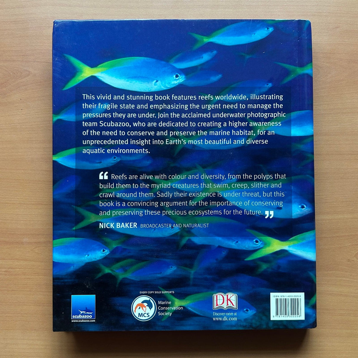 Reef: Exploring the Underwater World image 2