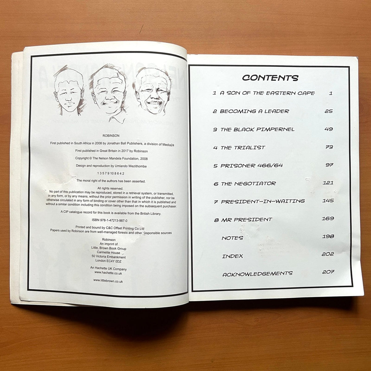 Mandela: The Graphic Novel - Nelson Mandela Centre of Memory · Umlando Wezithombe image 2