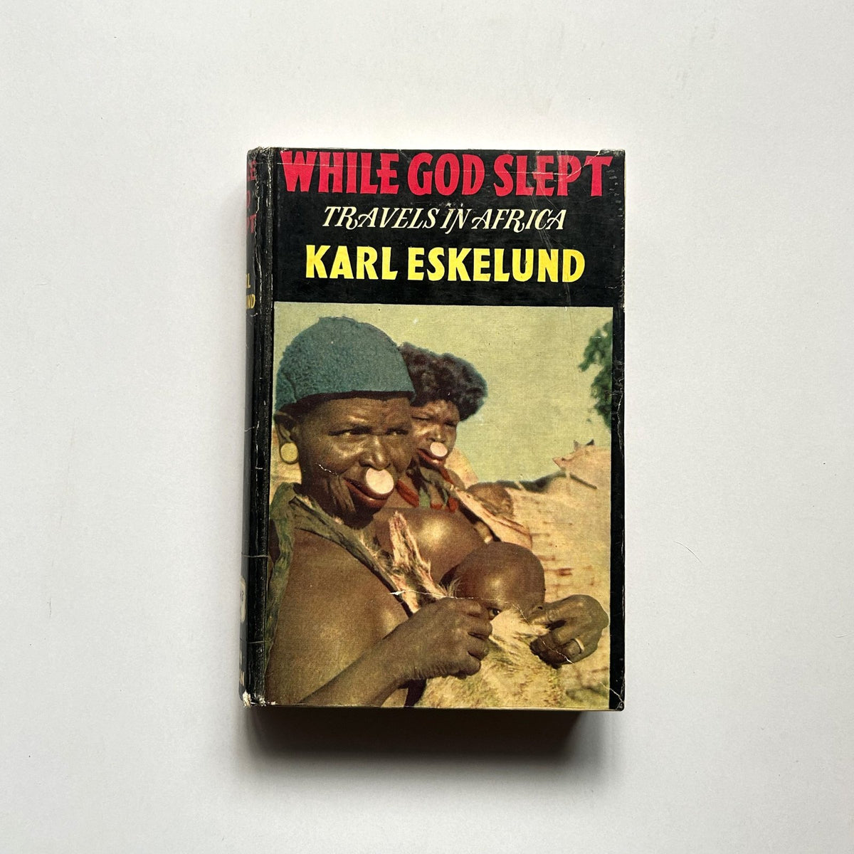 WHILE GOD SLEPT BY KARL ESKELUND image 0