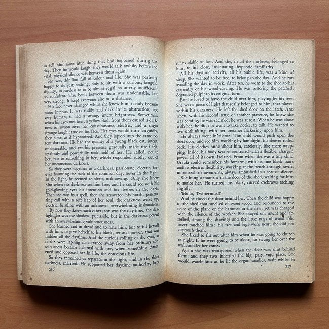 The Rainbow  - D. H. Lawrence image 6