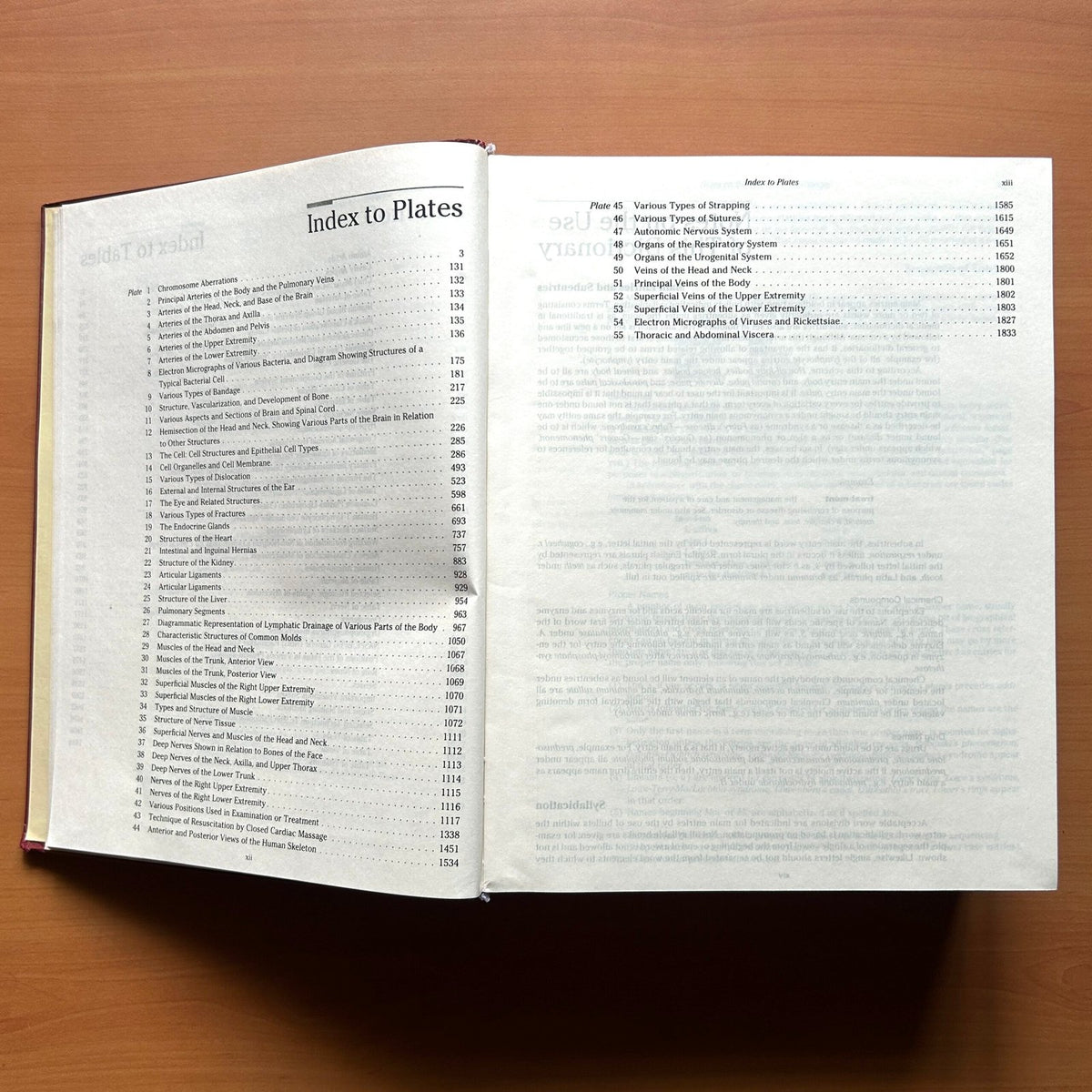 Dorland’s Illustrated Medical Dictionary image 6