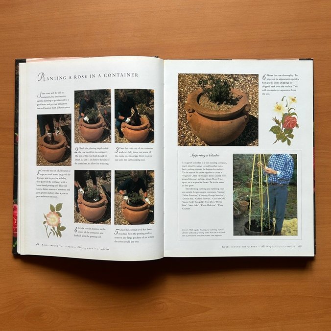 The Ultimate Rose Book  -  Peter McHoy image 6