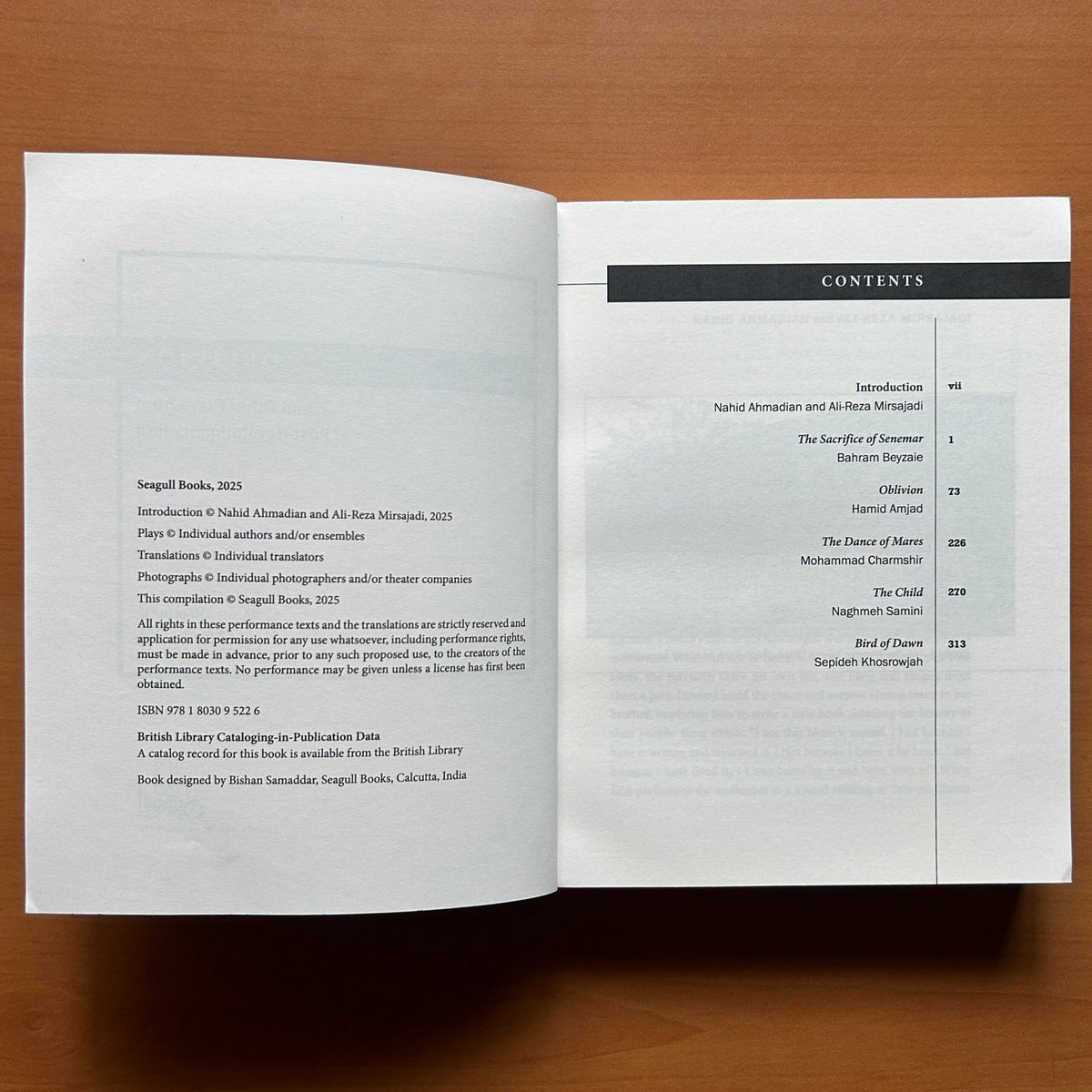 Oblivion and Other Plays from Post-Revolutionary Iran image 3