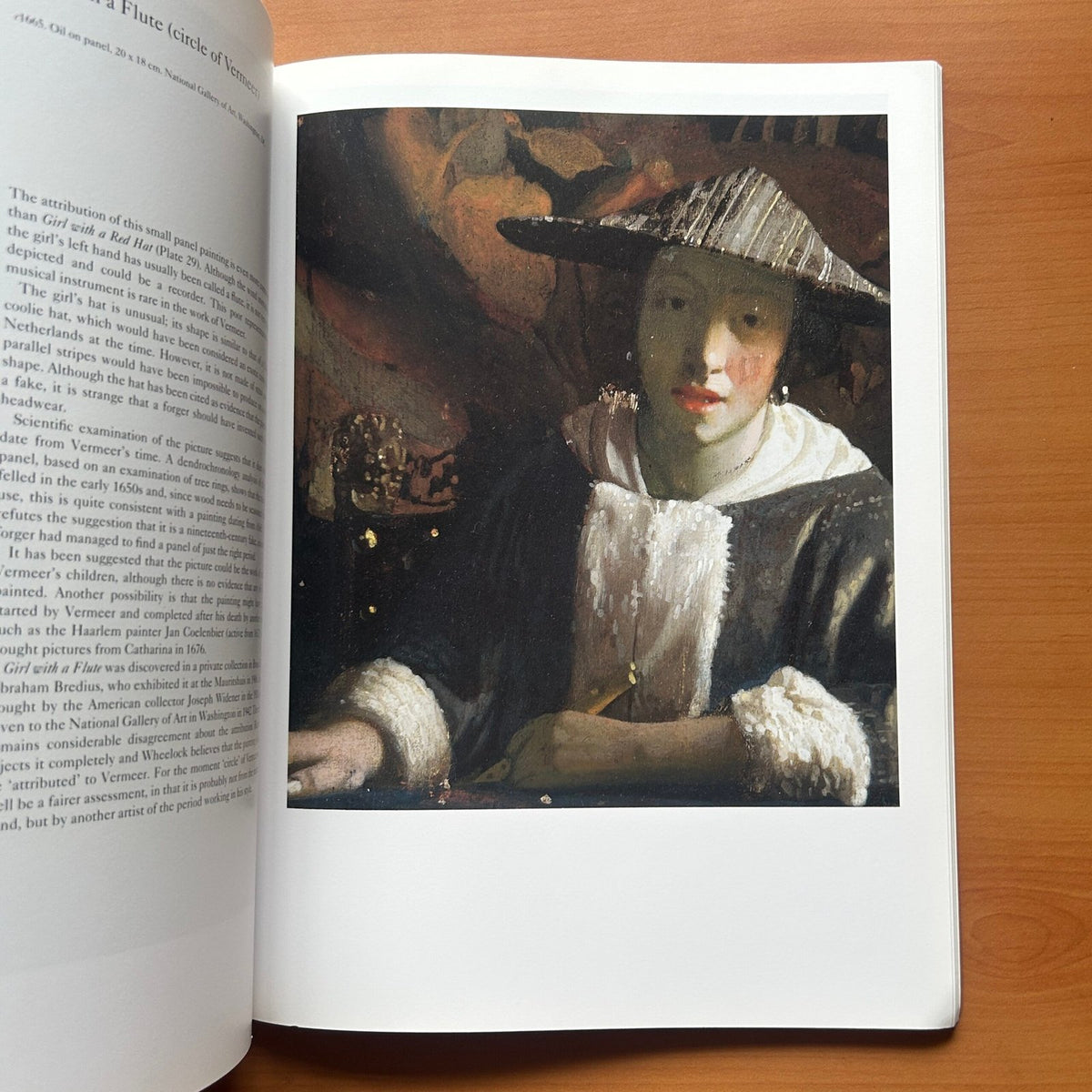 Vermeer  -  Martin Bailey image 8