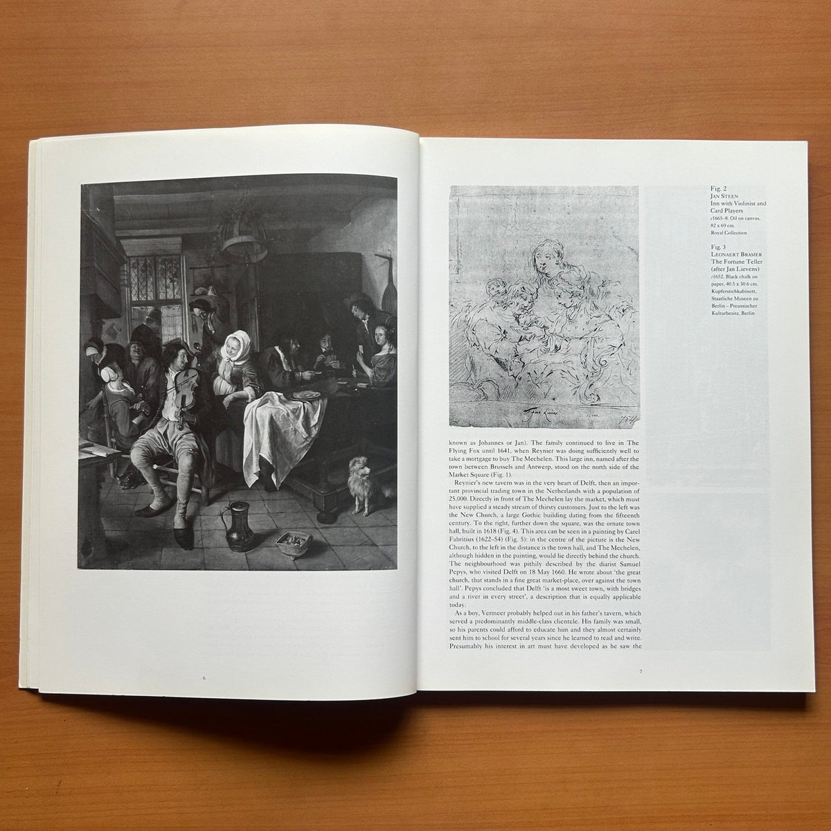 Vermeer  -  Martin Bailey image 4