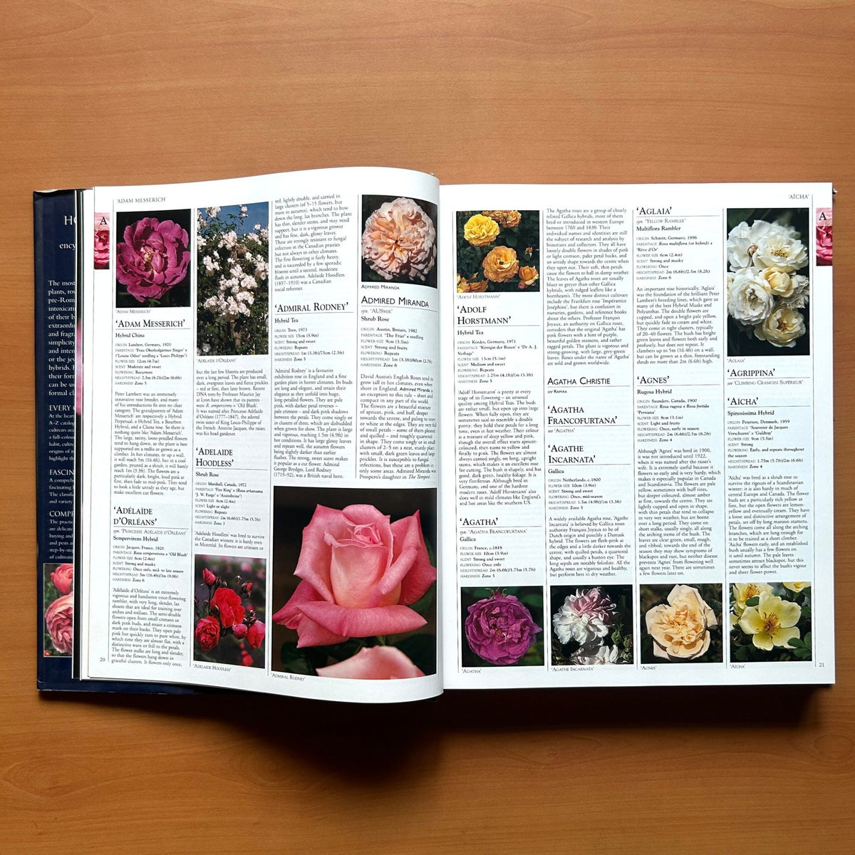Encyclopedia of Roses  - Charles Quest-Ritson · Brigid Quest-Ritson image 6