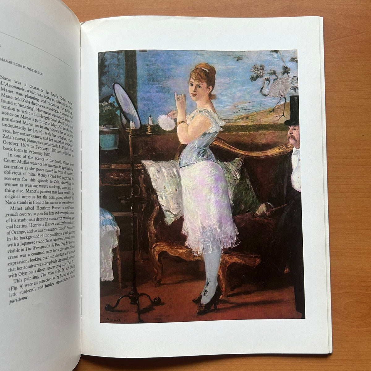 Manet  - John Richardson image 6