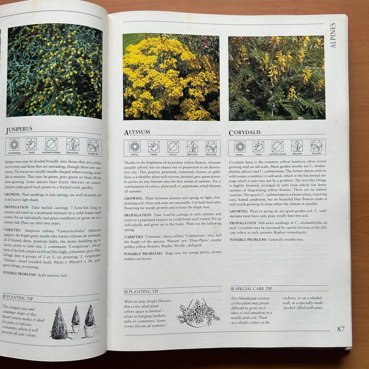 Hamlyn All Colour Plant Directory image 10