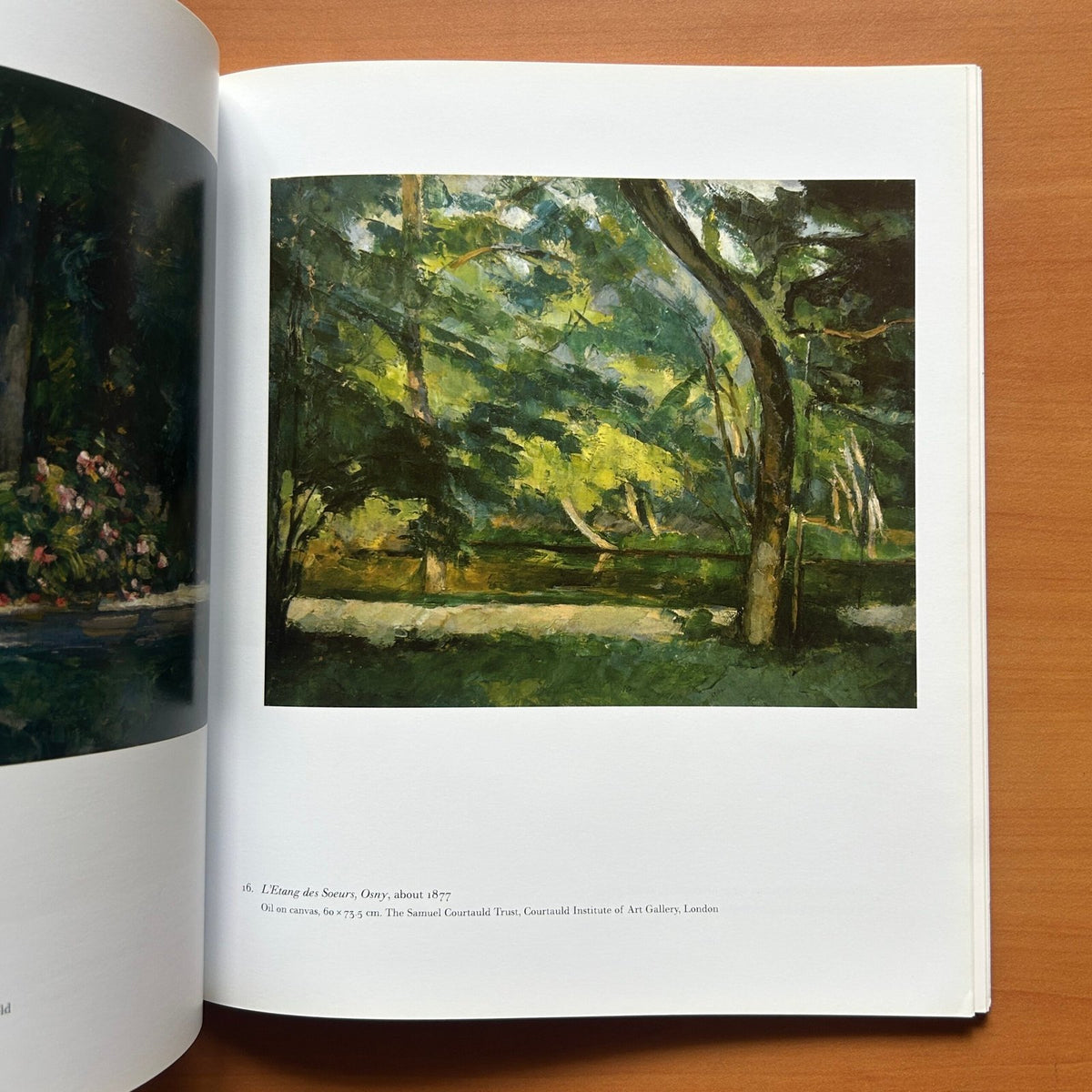 Cézanne in Britain  -  Anne Robbins image 9