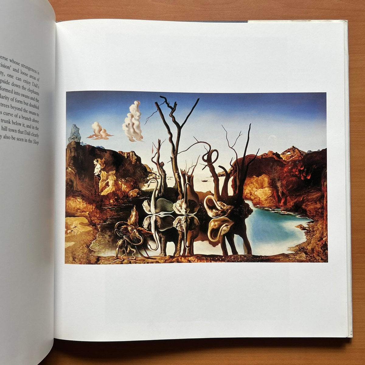 Dalí – The Masterworks  -  Eric Shanes image 8
