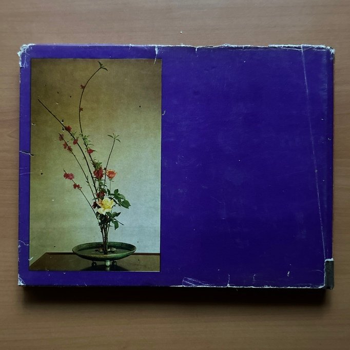Ikebana in India  - Sharayu Thakoor image 13