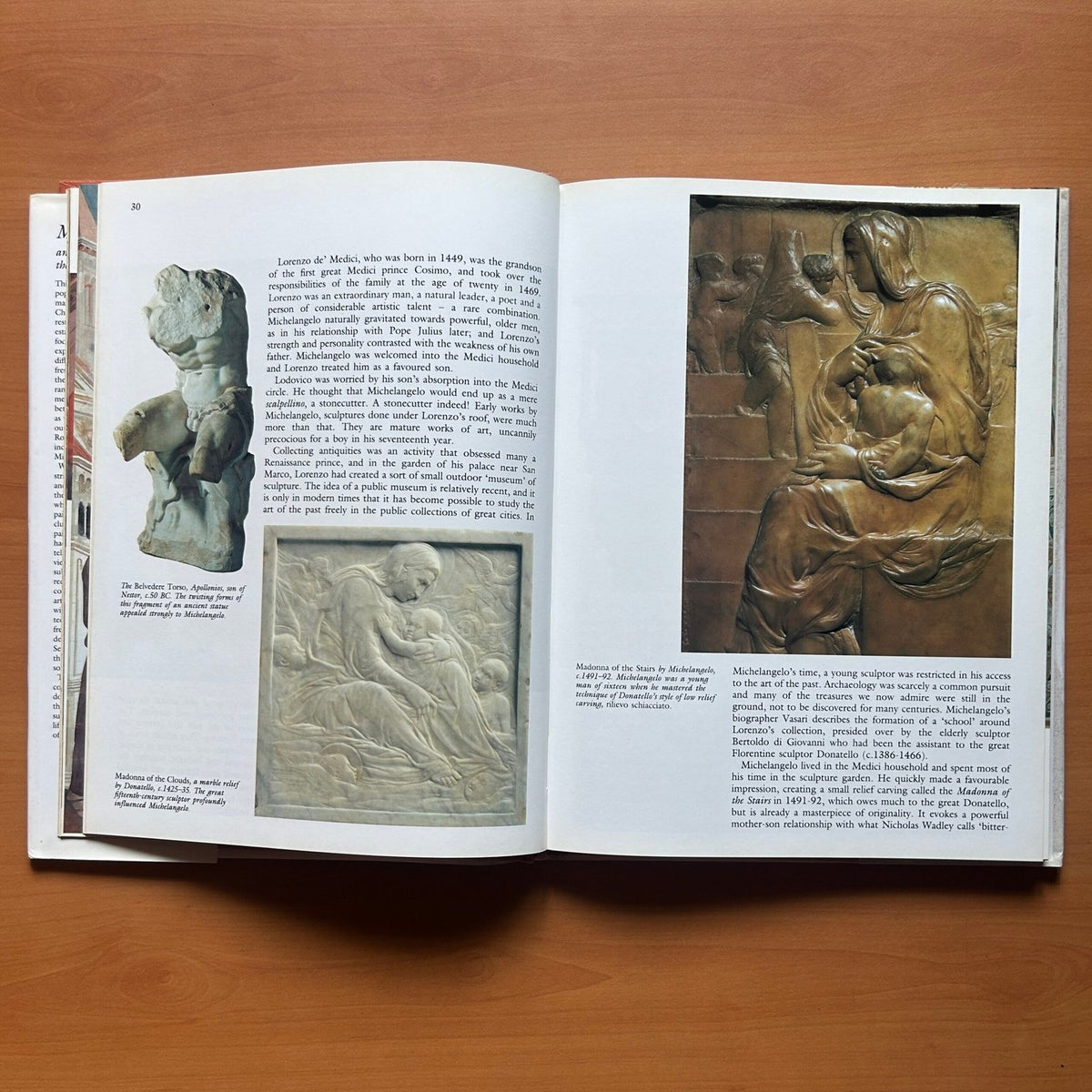 Michelangelo and the Creation of the Sistine Chapel  - Robin Richmond image 9