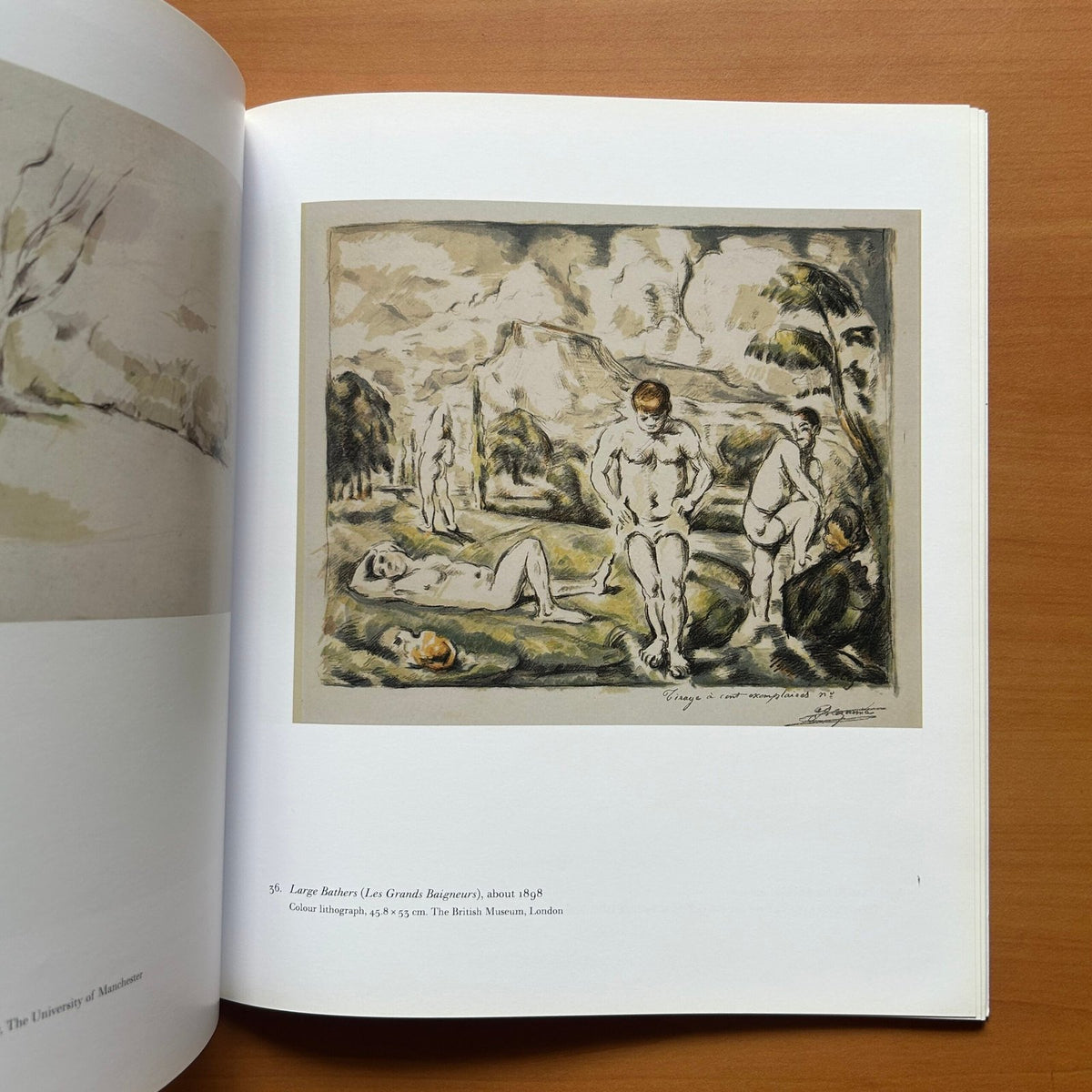 Cézanne in Britain  -  Anne Robbins image 6
