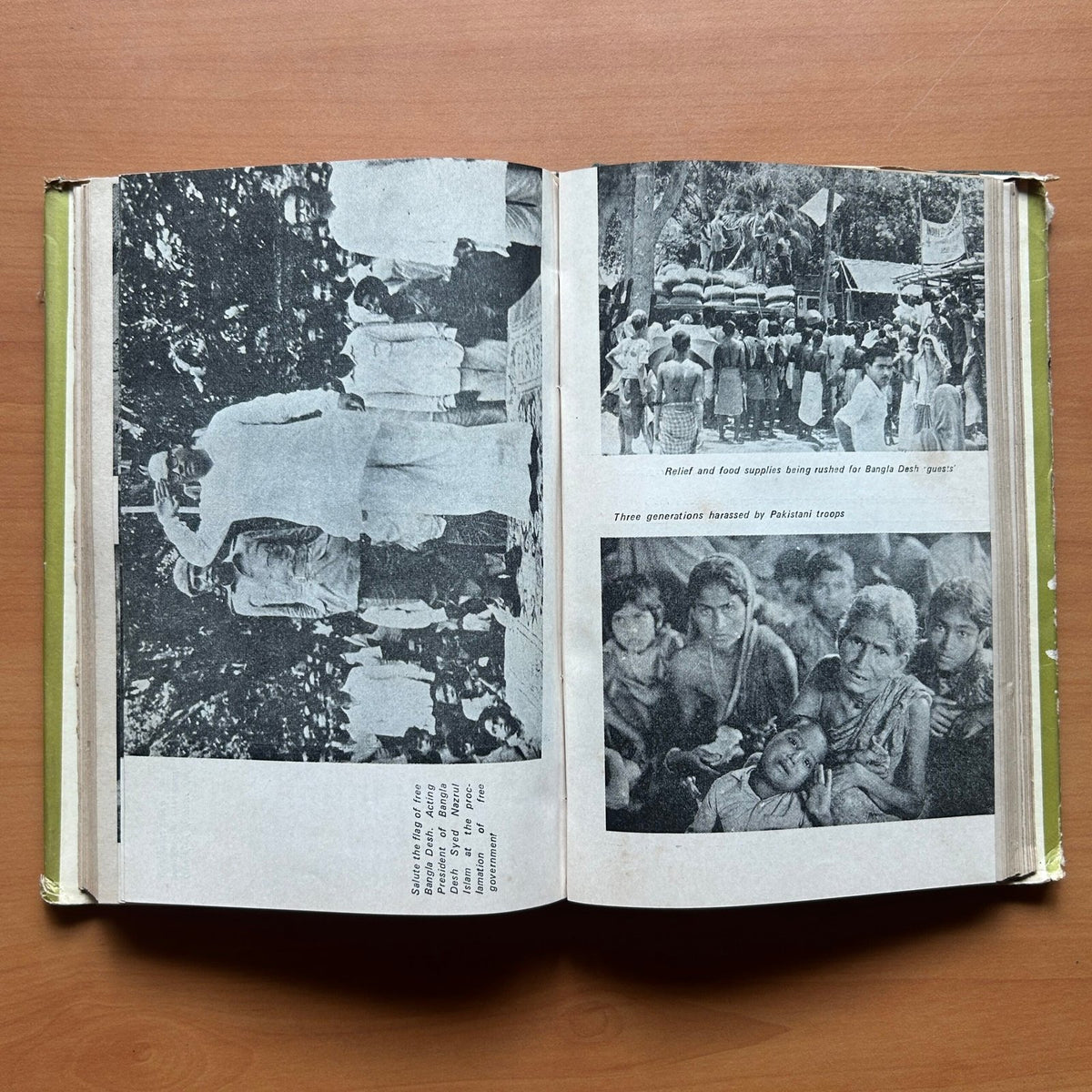 Mujib: Architect of Bangladesh image 7