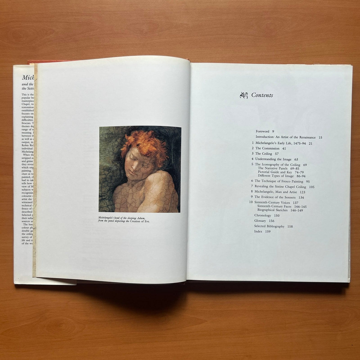 Michelangelo and the Creation of the Sistine Chapel  - Robin Richmond image 5