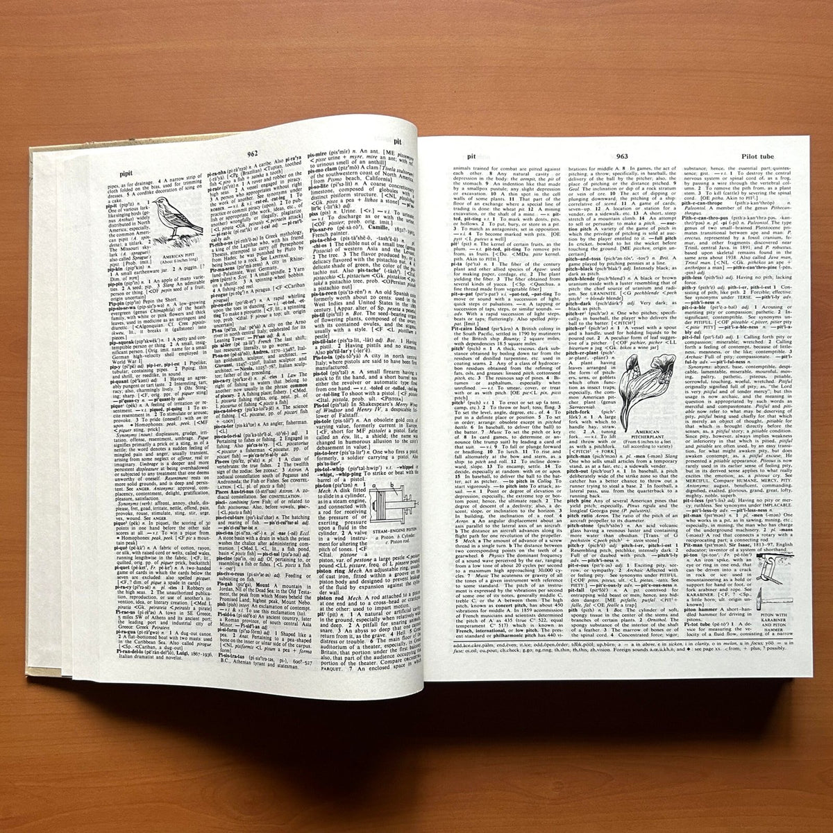 Webster Comprehensive Dictionary (2 Volumes Set) image 11