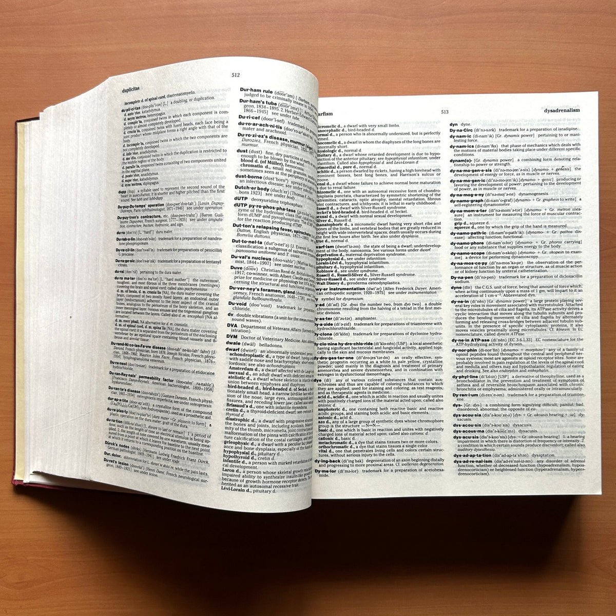 Dorland’s Illustrated Medical Dictionary image 7
