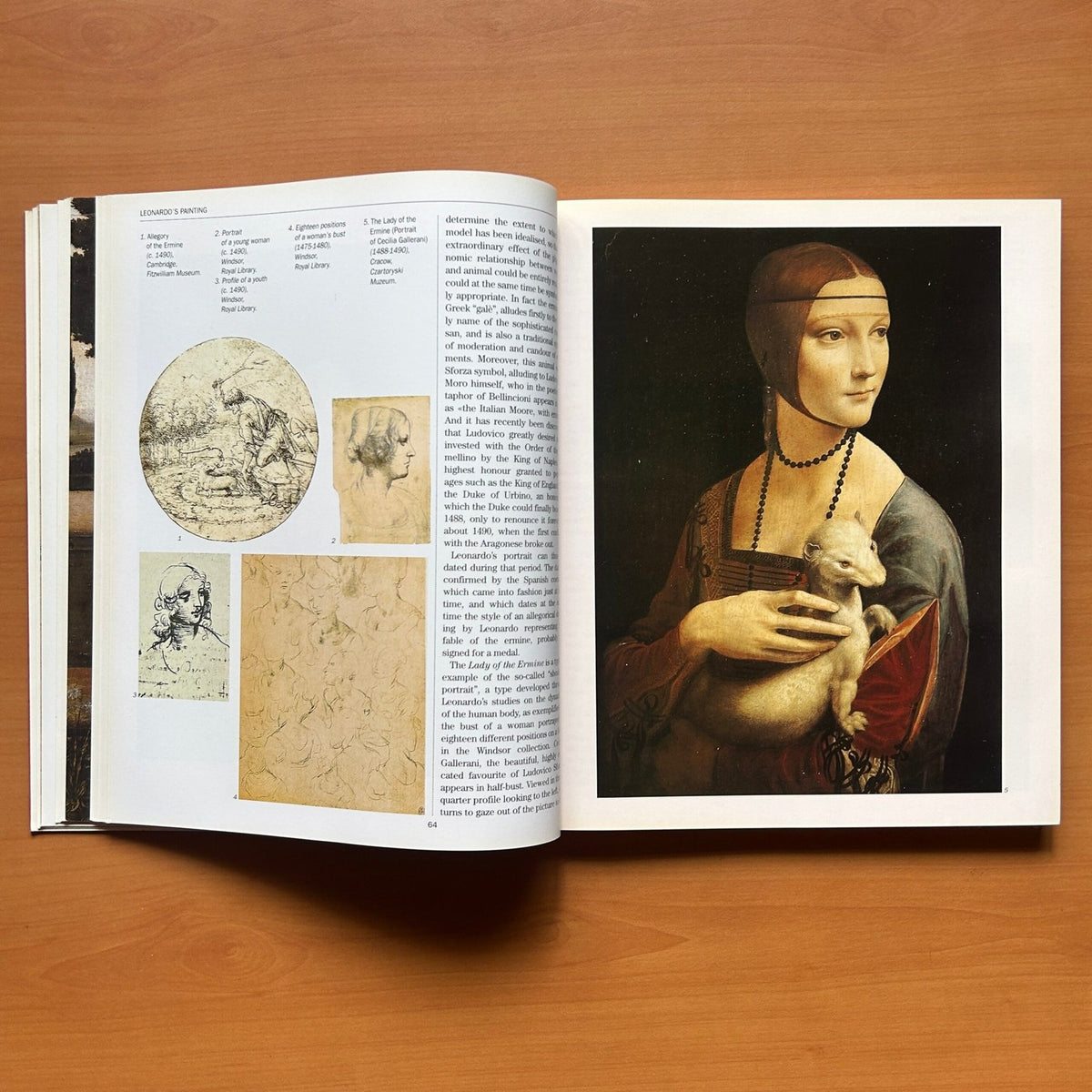 Leonardo da Vinci -  Carlo Pedretti image 12