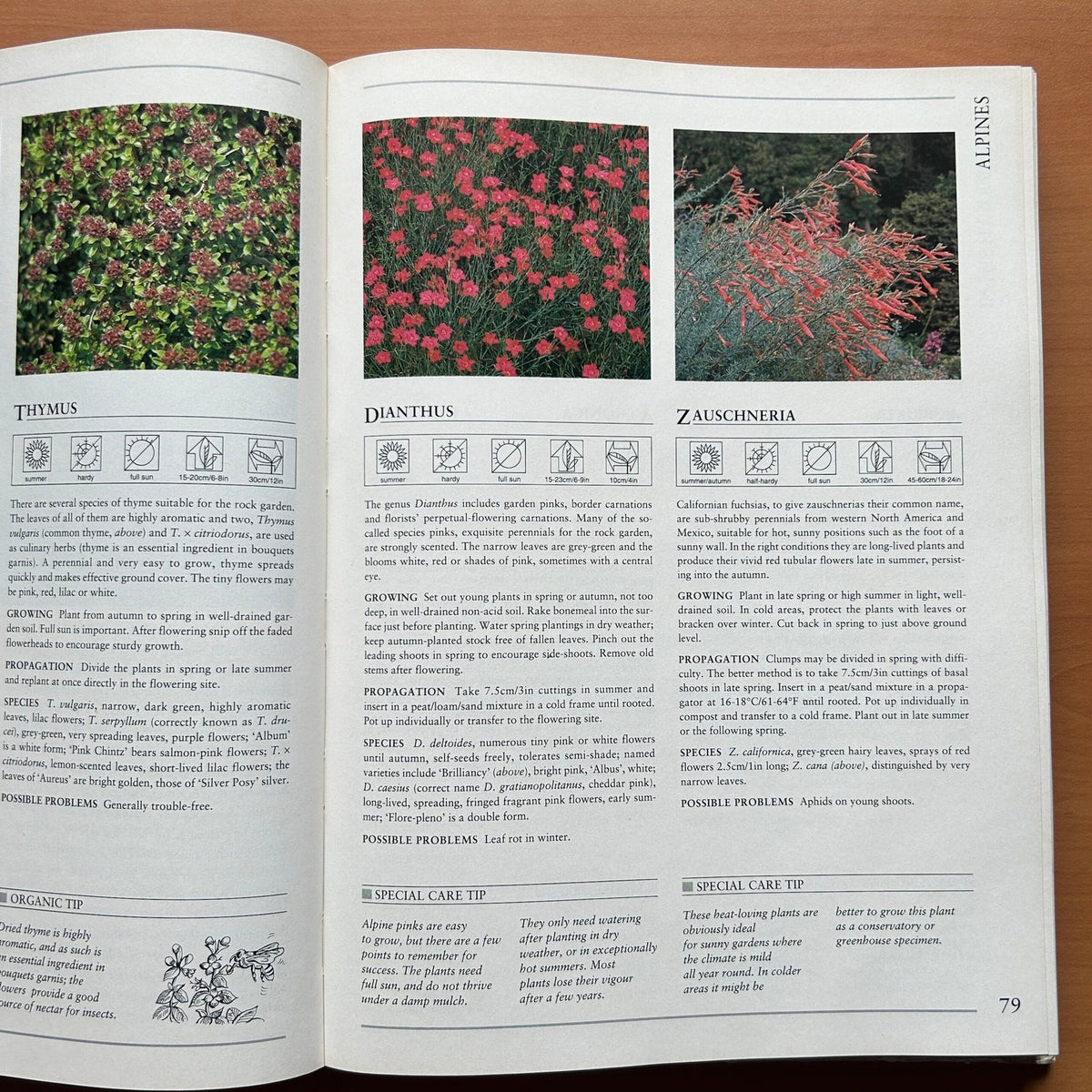 Hamlyn All Colour Plant Directory image 9