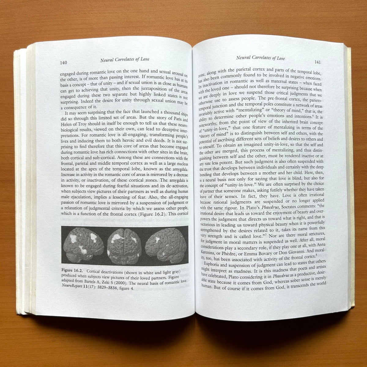 Splendors and Miseries of the Brain: Love, Creativity, and the Quest for Human Happiness - Semir Zeki image 7