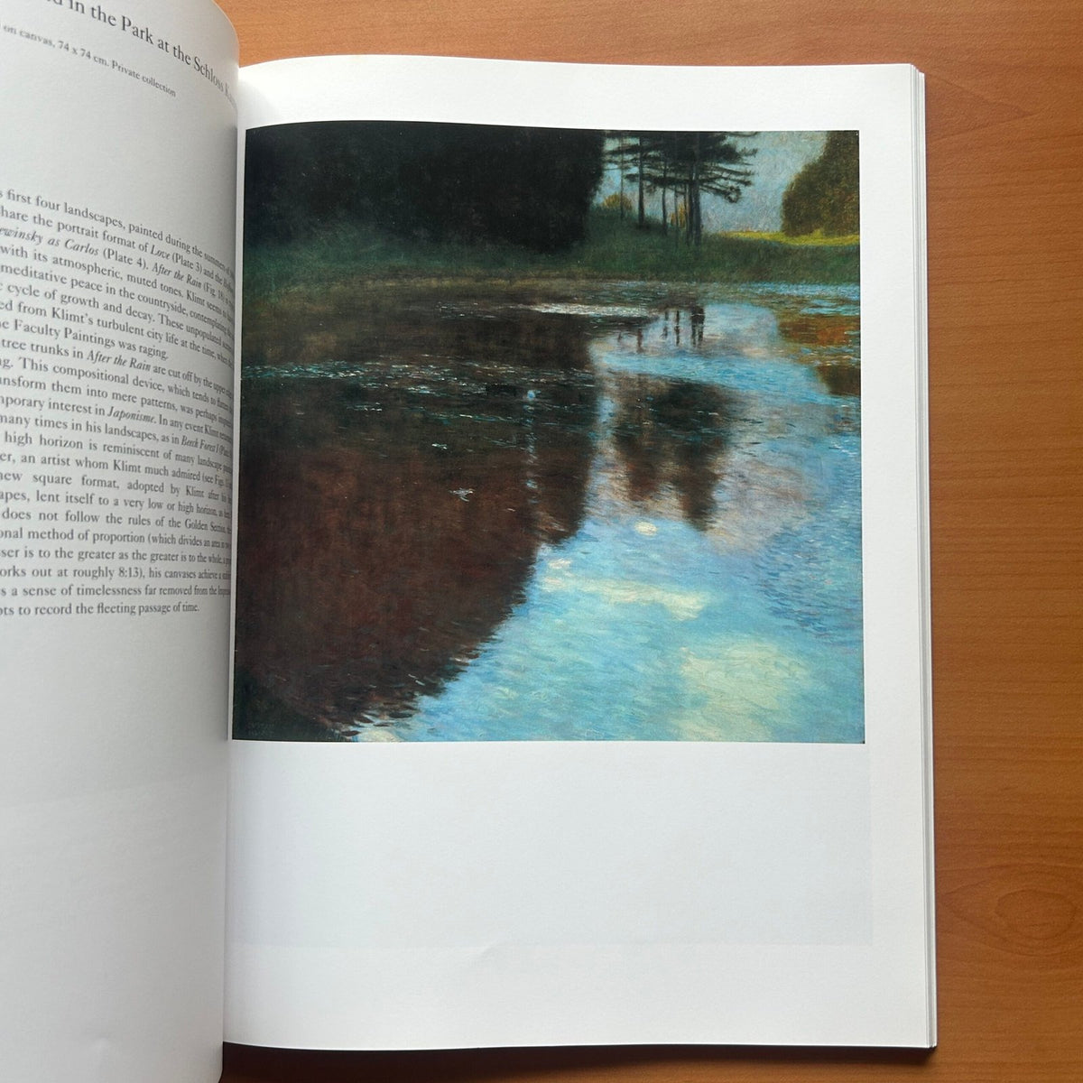 Klimt -  Catherine Dean image 14