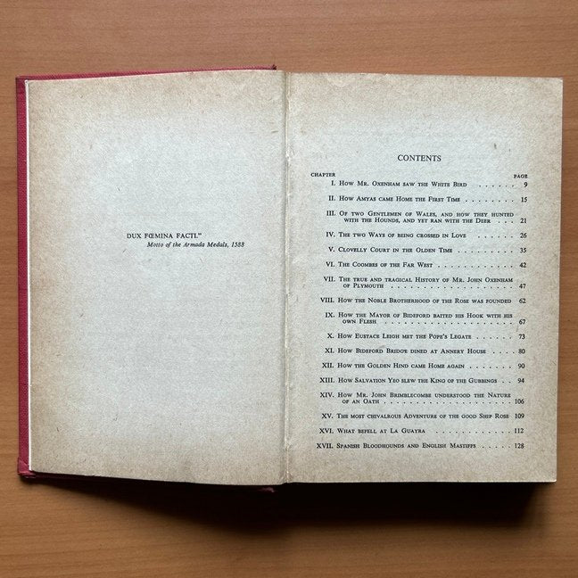 Westward Ho!  - Charles Kingsley image 4