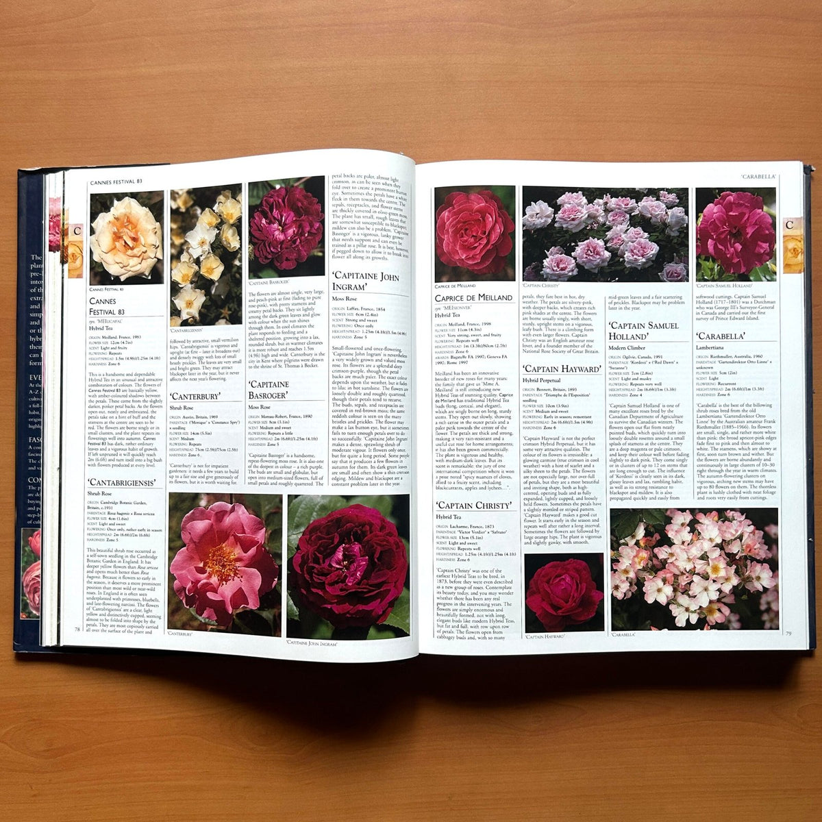 Encyclopedia of Roses  - Charles Quest-Ritson · Brigid Quest-Ritson image 7
