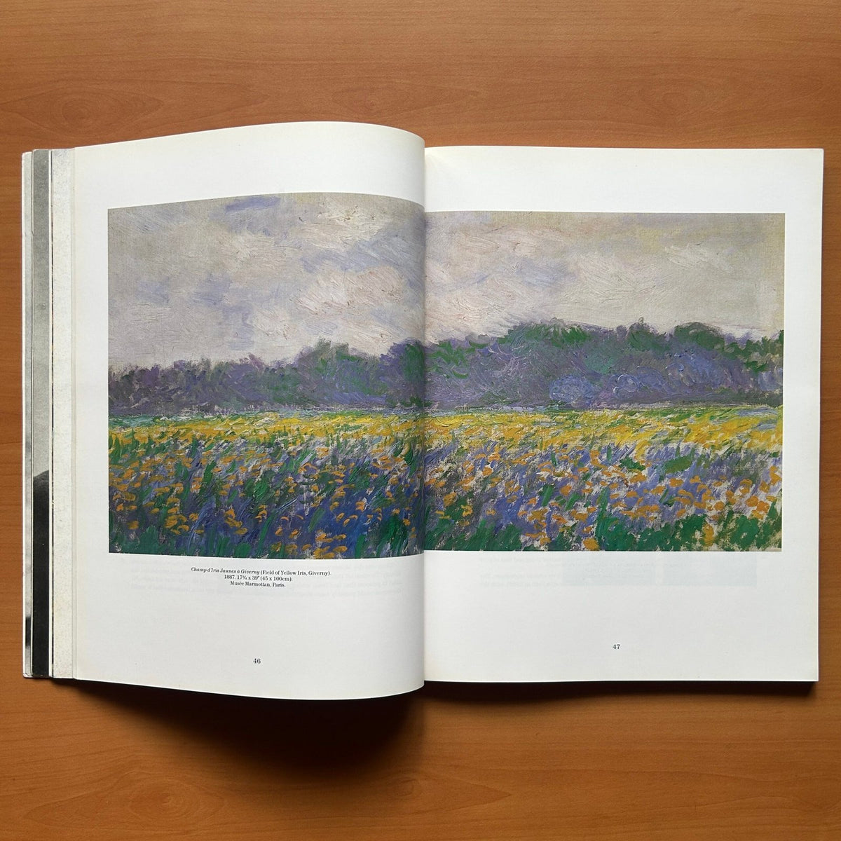 Claude Monet - Life at Giverny image 7