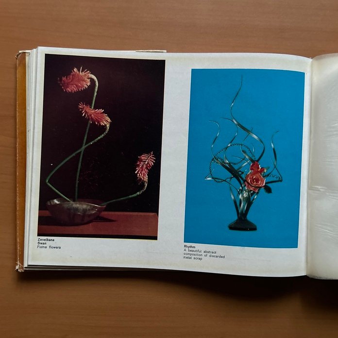 Ikebana in India  - Sharayu Thakoor image 10