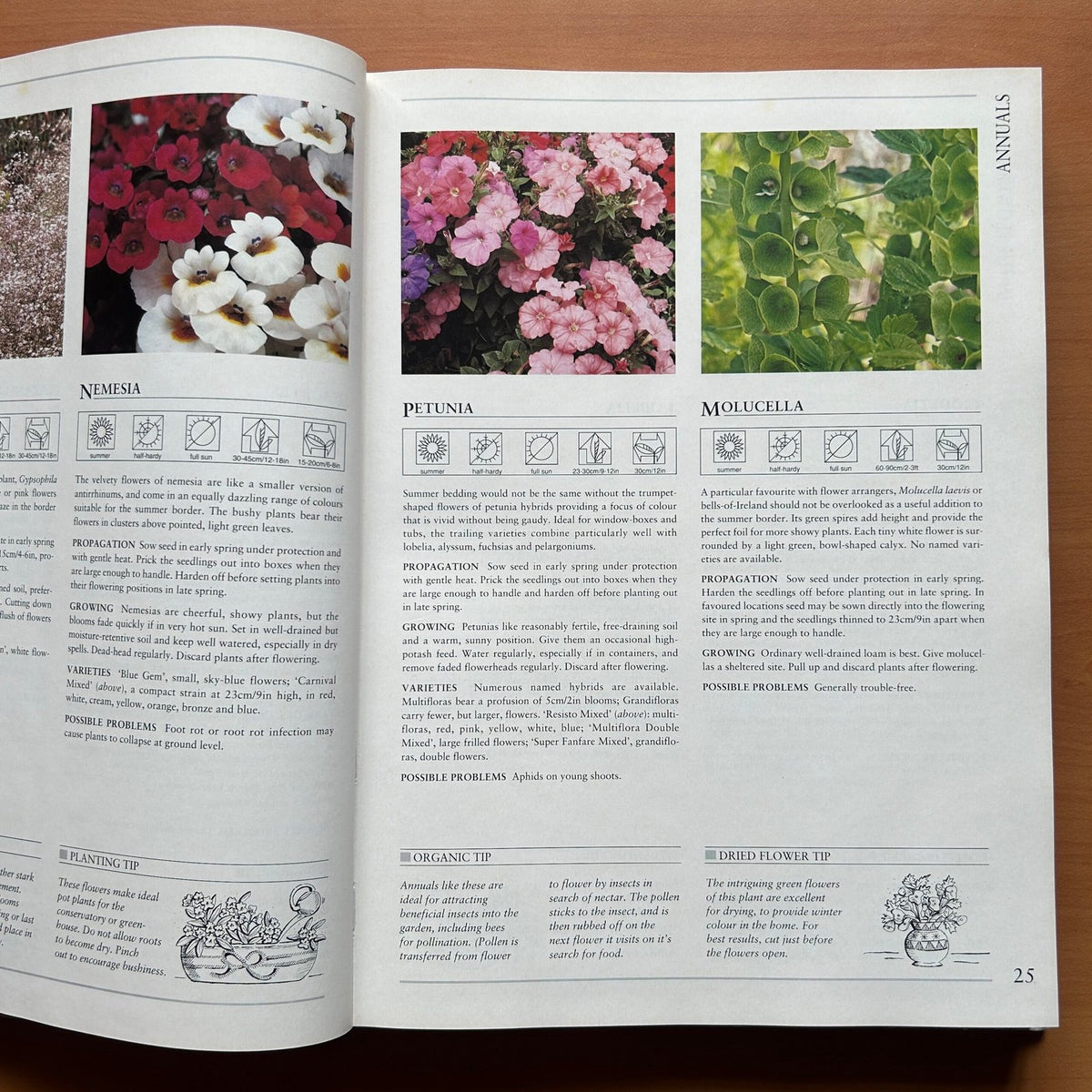 Hamlyn All Colour Plant Directory image 7