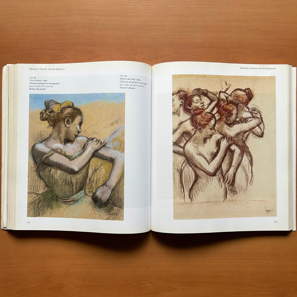 Degas: Beyond Impressionism  - Richard Kendall image 11