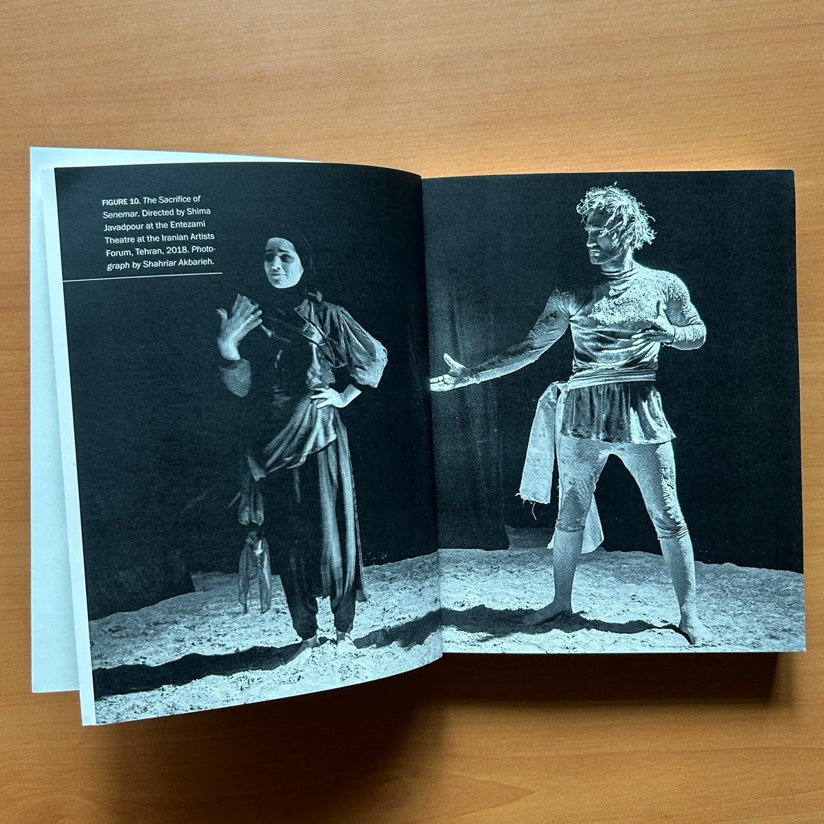 Oblivion and Other Plays from Post-Revolutionary Iran image 7