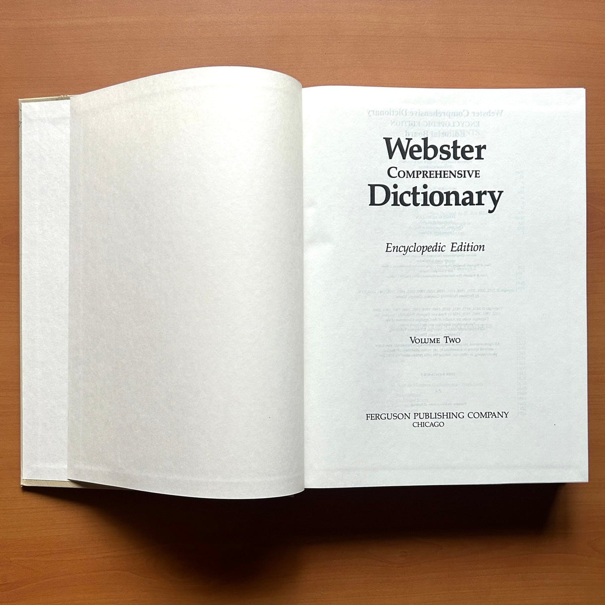 Webster Comprehensive Dictionary (2 Volumes Set) image 8