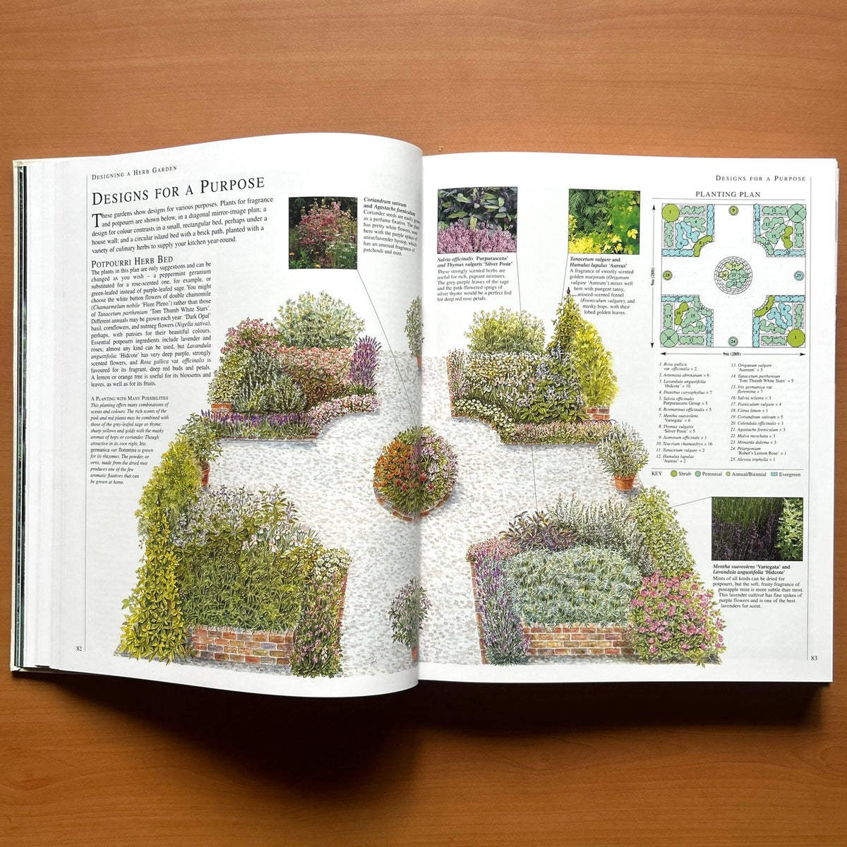 Encyclopedia of Herbs - Deni Bown image 7