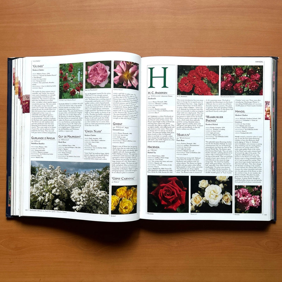 Encyclopedia of Roses  - Charles Quest-Ritson · Brigid Quest-Ritson image 9