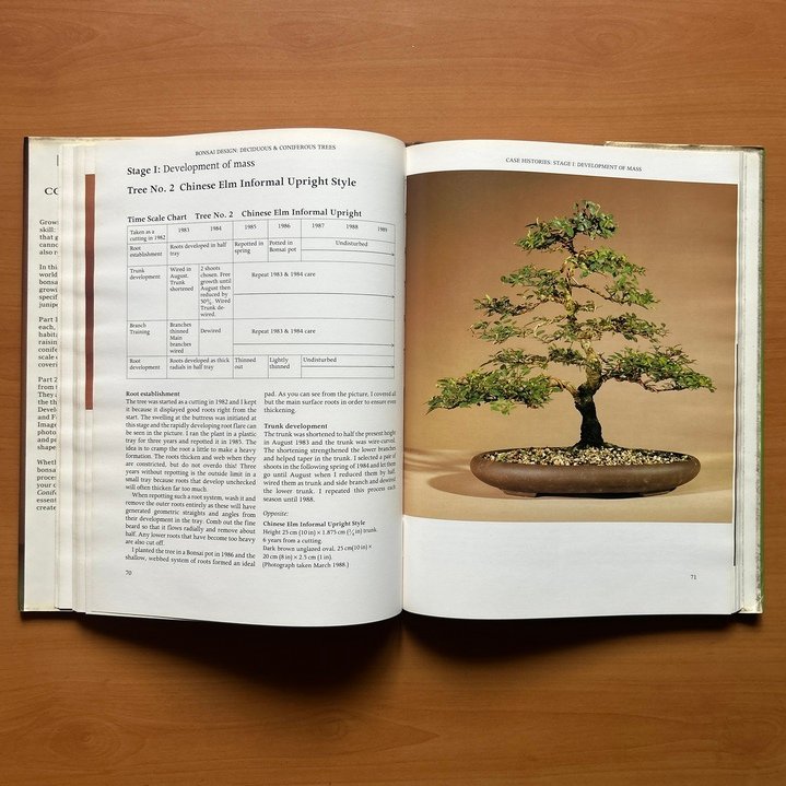 Bonsai Design: Deciduous and Coniferous Trees -  Peter D. Adams image 6
