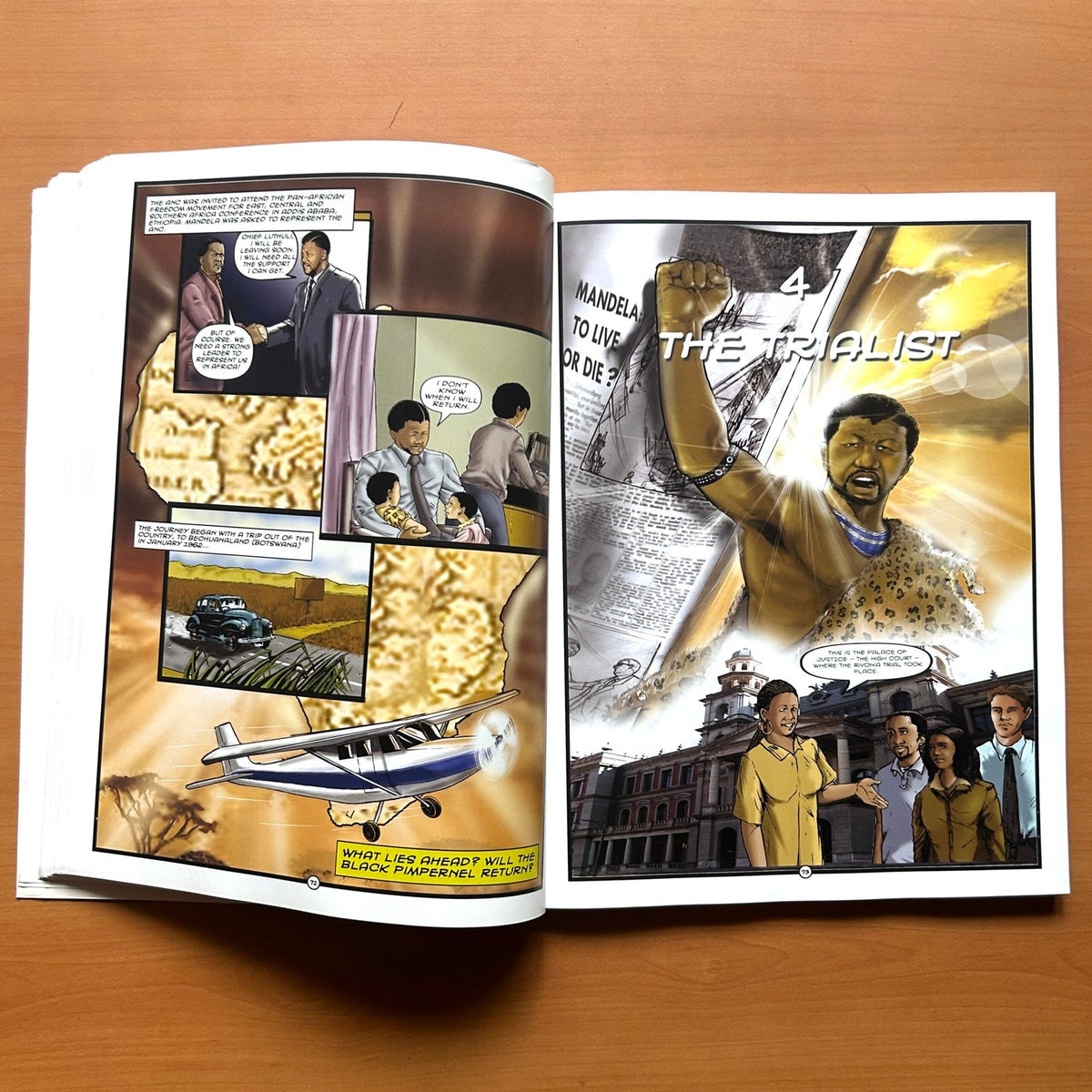 Mandela: The Graphic Novel - Nelson Mandela Centre of Memory · Umlando Wezithombe image 5