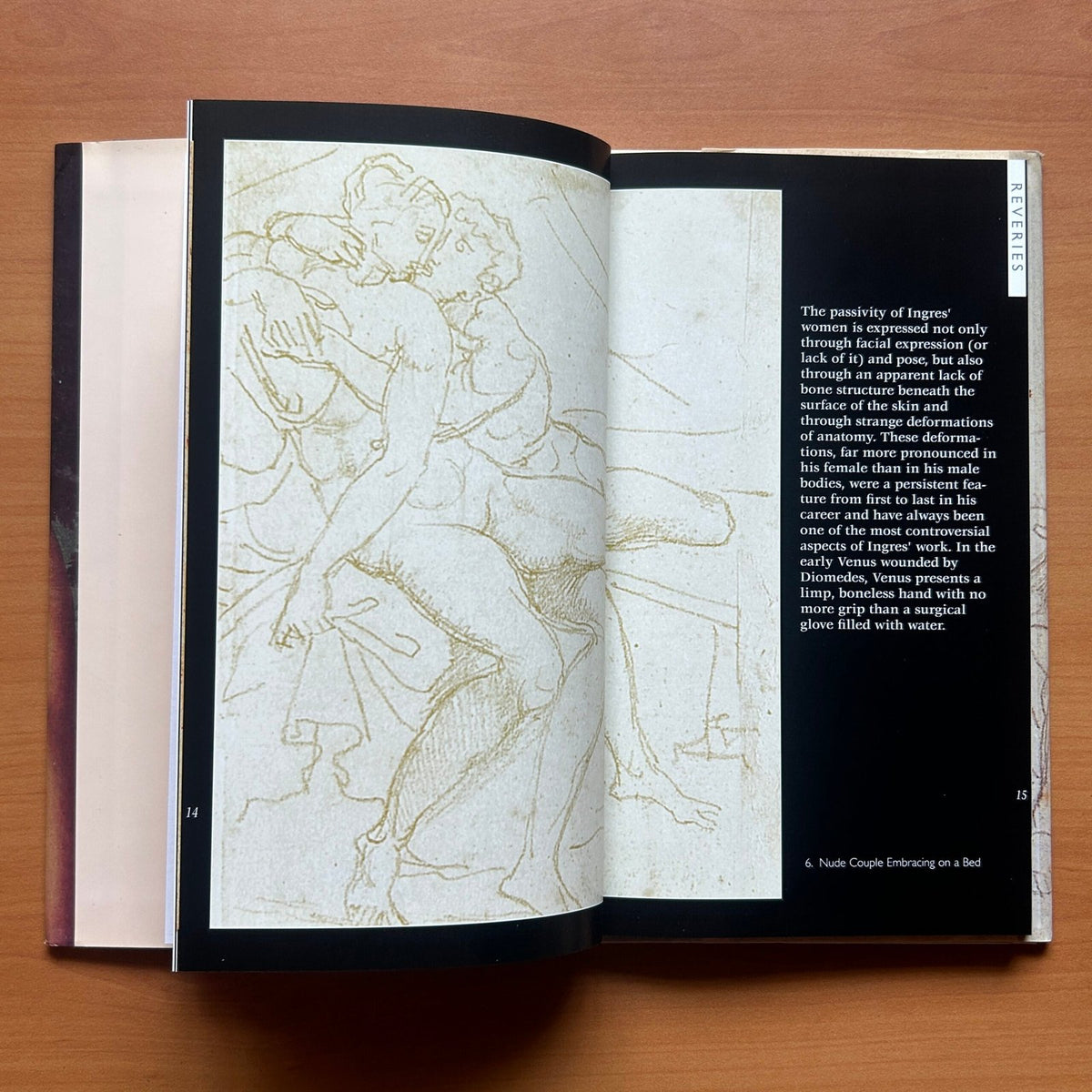 Ingres  -  Patrick Bade image 5