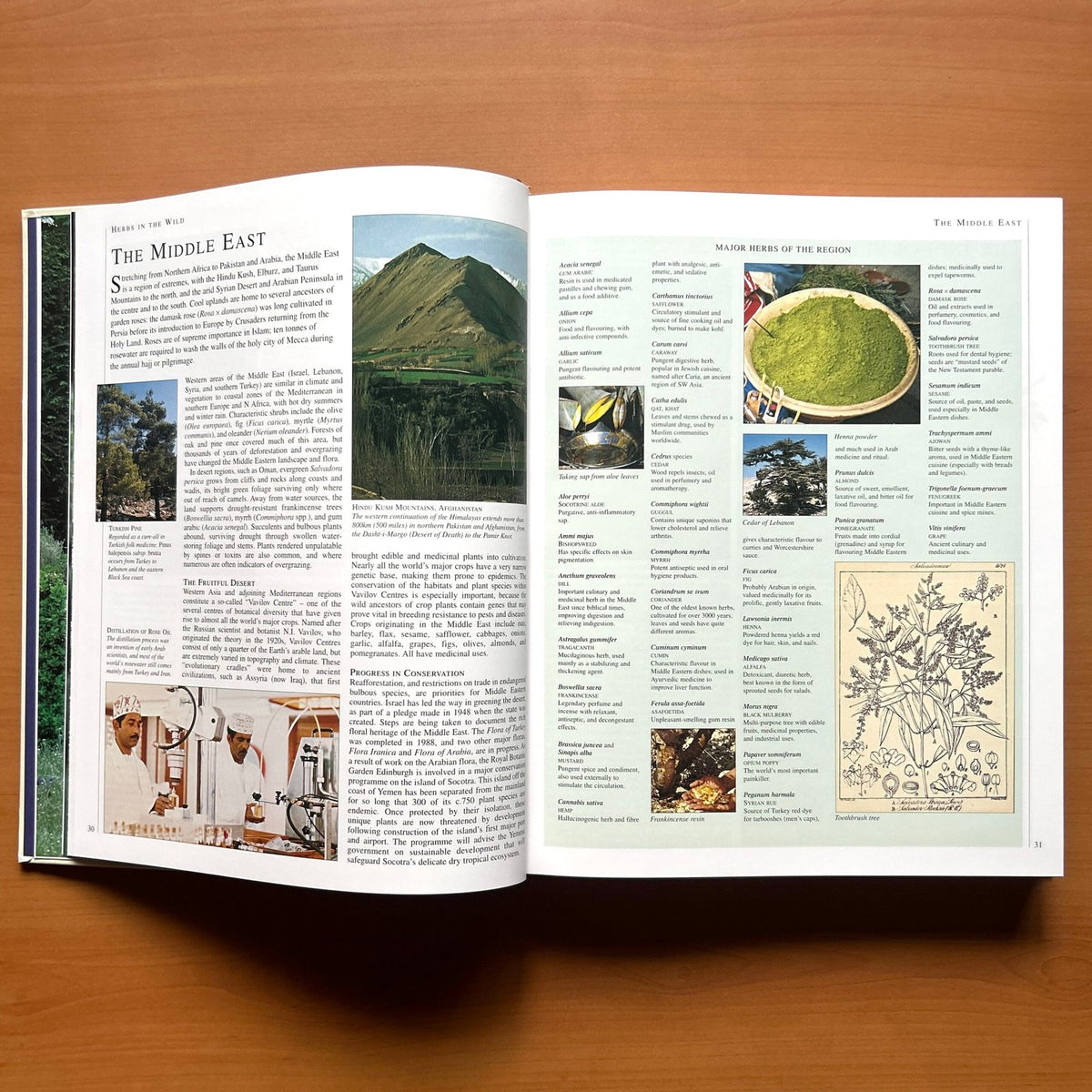 Encyclopedia of Herbs - Deni Bown image 5