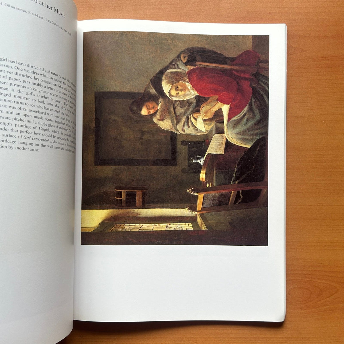 Vermeer  -  Martin Bailey image 11