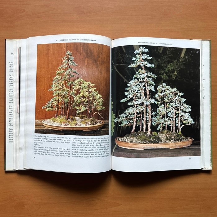Bonsai Design: Deciduous and Coniferous Trees -  Peter D. Adams image 11