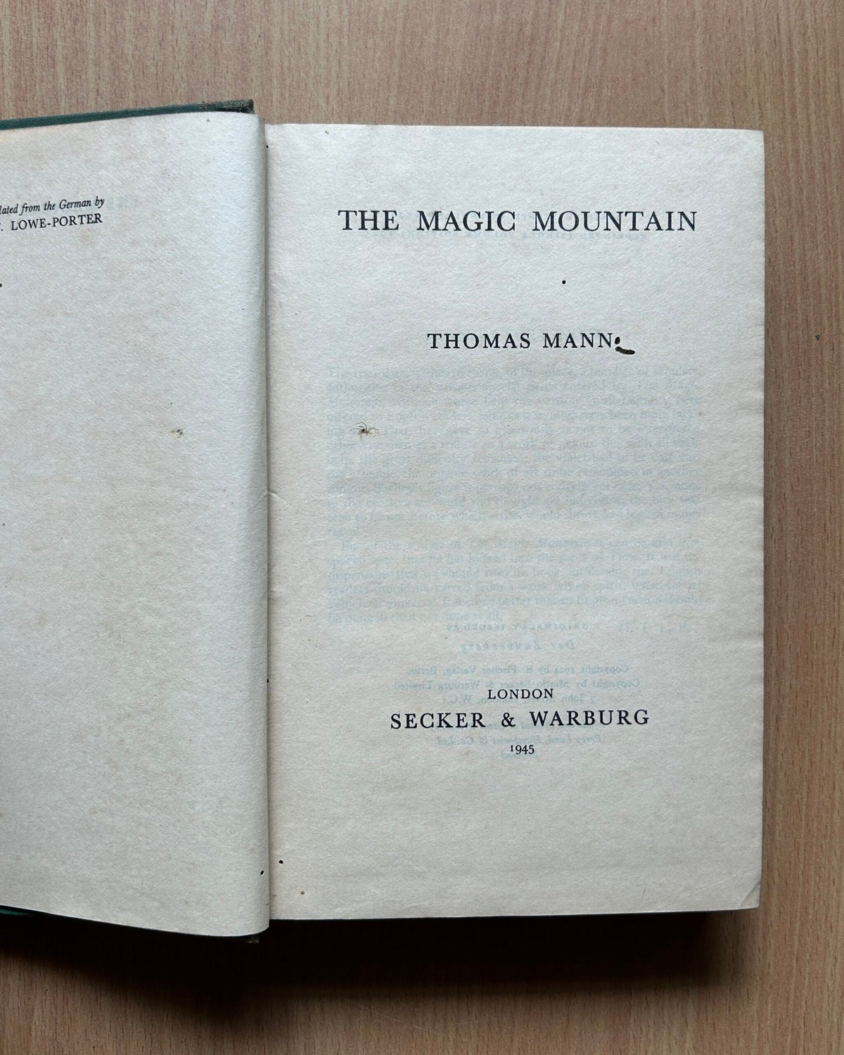 The Magic Mountain  - Thomas Mann image 2