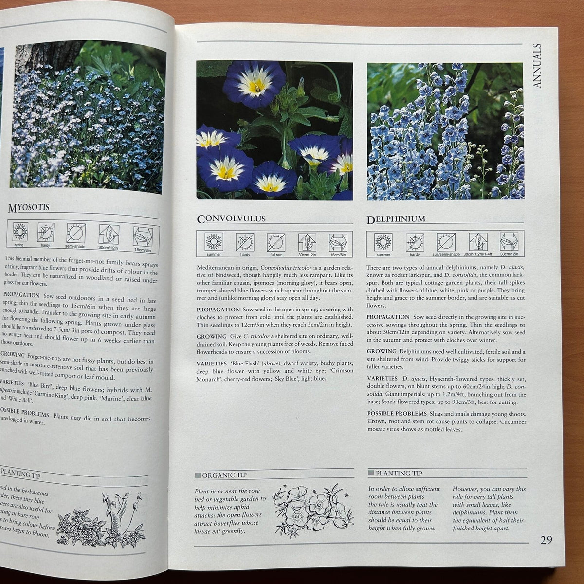 Hamlyn All Colour Plant Directory image 8